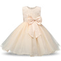 Princess Flower Girl Dress