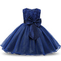 Princess Flower Girl Dress