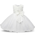 Princess Flower Girl Dress