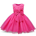 Princess Flower Girl Dress